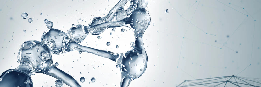 Fourth Phase of Water: From Obscurity to Centre Stage