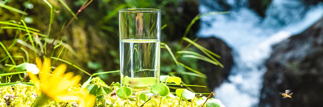 Whatâs missing in our waters?