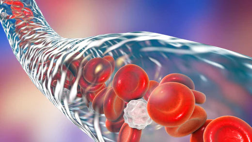 CELLS – The ENGINES of LIFE