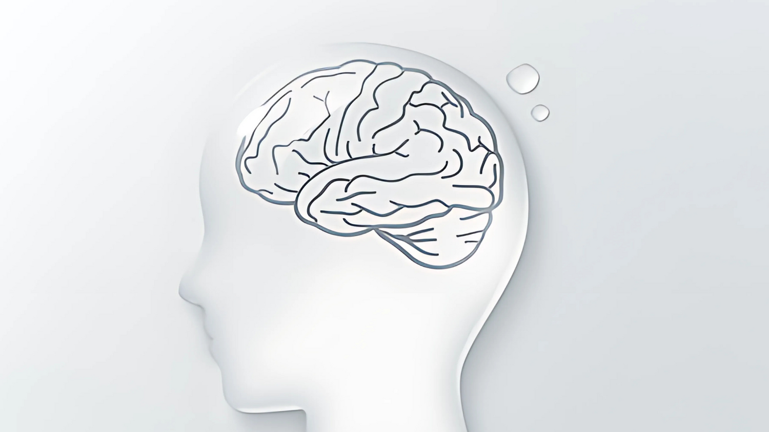 Water-Intensive Organ – Brain: Dehydration and Its Impact on Cognition