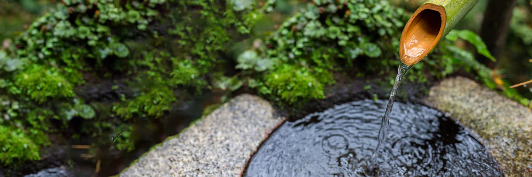 Honoring Water: Understanding Traditional Wisdom